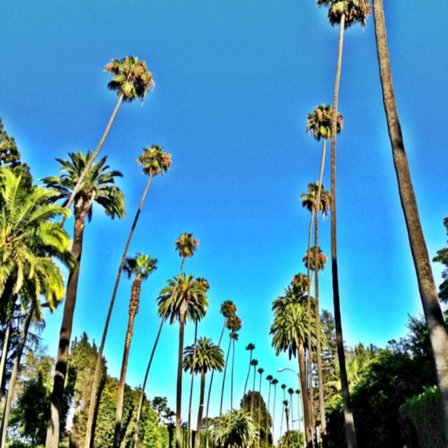 Good morning Beverly Hills, I love this city!