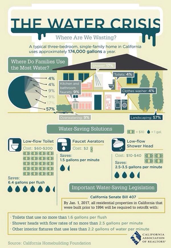 Where we are wasting water and ways to conserve.